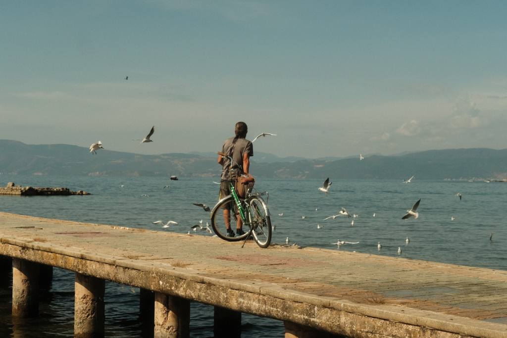A man with seagulls on a dock at lake Ohrid.